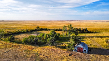 Webb Ranch: 7,758 Acres Of Cattle Grazing & Wildlife - image 5