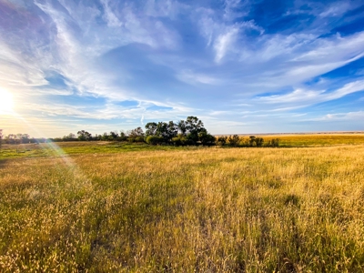 Webb Ranch: 7,758 Acres Of Cattle Grazing & Wildlife - image 20