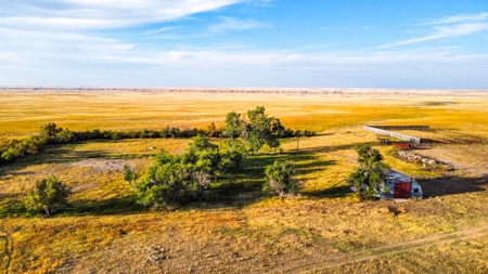 Webb Ranch: 7,758 Acres Of Cattle Grazing & Wildlife - image 1