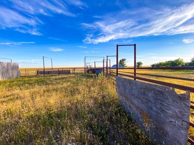 Webb Ranch: 7,758 Acres Of Cattle Grazing & Wildlife - image 24