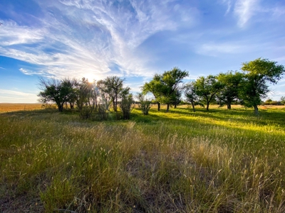Webb Ranch: 7,758 Acres Of Cattle Grazing & Wildlife - image 10