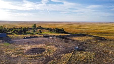 Webb Ranch: 7,758 Acres Of Cattle Grazing & Wildlife - image 7