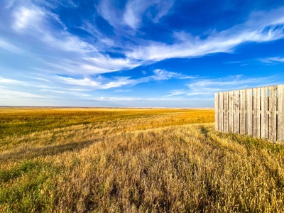 Webb Ranch: 7,758 Acres Of Cattle Grazing & Wildlife - image 30