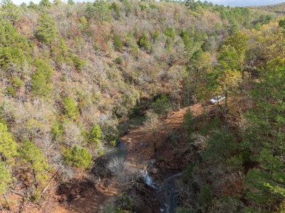 For Sale 716 Acre Hunting Ranch In Sequoyah County Oklahoma - image 3