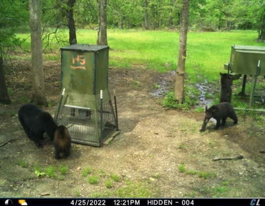 For Sale 716 Acre Hunting Ranch In Sequoyah County Oklahoma - image 41