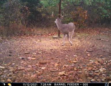 For Sale 716 Acre Hunting Ranch In Sequoyah County Oklahoma - image 48