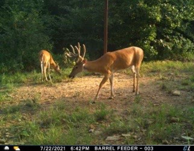 For Sale 716 Acre Hunting Ranch In Sequoyah County Oklahoma - image 42