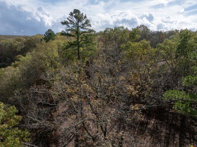 For Sale 716 Acre Hunting Ranch In Sequoyah County Oklahoma - image 37