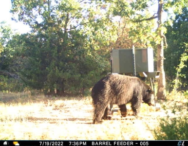 For Sale 716 Acre Hunting Ranch In Sequoyah County Oklahoma - image 44