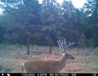 For Sale 716 Acre Hunting Ranch In Sequoyah County Oklahoma - image 47