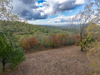For Sale 716 Acre Hunting Ranch In Sequoyah County Oklahoma - image 4