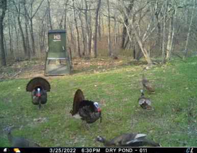 For Sale 716 Acre Hunting Ranch In Sequoyah County Oklahoma - image 49