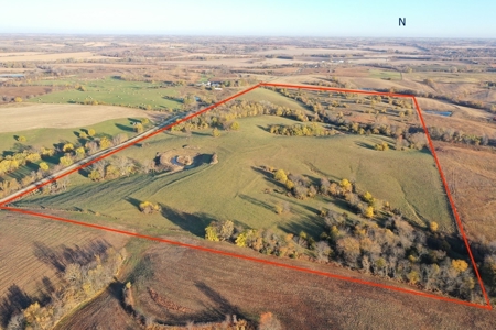 Farm Land for Sale in Blockton, Iowa - image 1
