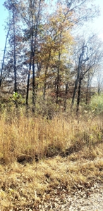 Vacant Land For Sale - image 3