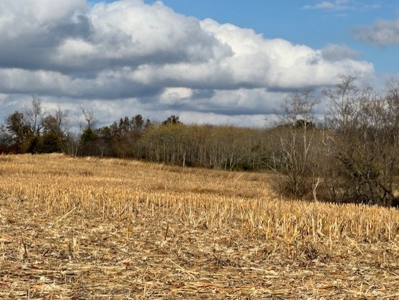 Hilltop Acreage For Sale - Daviess County Missouri - image 6