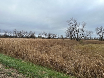 Tillable land, Hunting Land, And Buildable Ripon WI - image 8