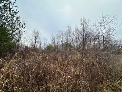 Tillable land, Hunting Land, And Buildable Ripon WI - image 28