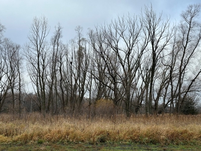 Tillable land, Hunting Land, And Buildable Ripon WI - image 22