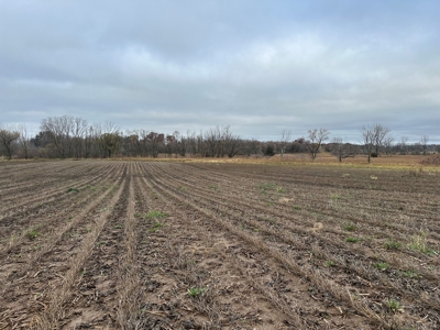 Tillable land, Hunting Land, And Buildable Ripon WI - image 16