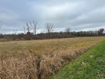 Tillable land, Hunting Land, And Buildable Ripon WI - image 32