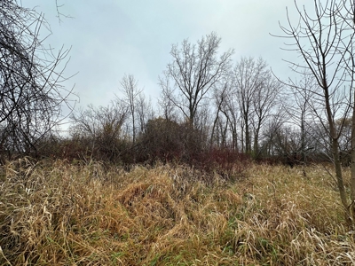 Tillable land, Hunting Land, And Buildable Ripon WI - image 30