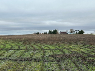 Tillable land, Hunting Land, And Buildable Ripon WI - image 24