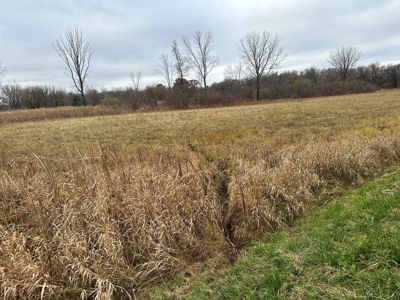 Tillable land, Hunting Land, And Buildable Ripon WI - image 31