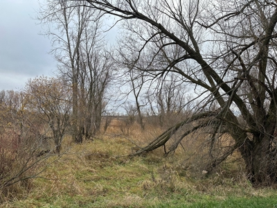Tillable land, Hunting Land, And Buildable Ripon WI - image 5