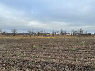 Tillable land, Hunting Land, And Buildable Ripon WI - image 15