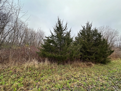 Tillable land, Hunting Land, And Buildable Ripon WI - image 26