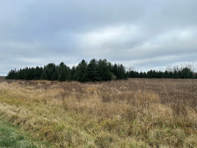 Tillable land, Hunting Land, And Buildable Ripon WI - image 36