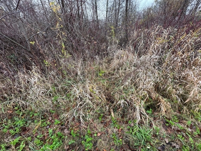 Tillable land, Hunting Land, And Buildable Ripon WI - image 29