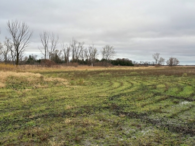 Tillable land, Hunting Land, And Buildable Ripon WI - image 25