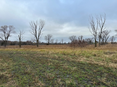 Tillable land, Hunting Land, And Buildable Ripon WI - image 17