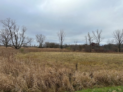 Tillable land, Hunting Land, And Buildable Ripon WI - image 7