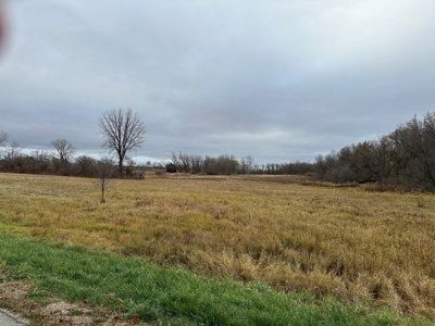 Tillable land, Hunting Land, And Buildable Ripon WI - image 9