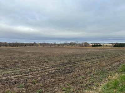 Tillable land, Hunting Land, And Buildable Ripon WI - image 2