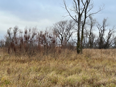 Tillable land, Hunting Land, And Buildable Ripon WI - image 18