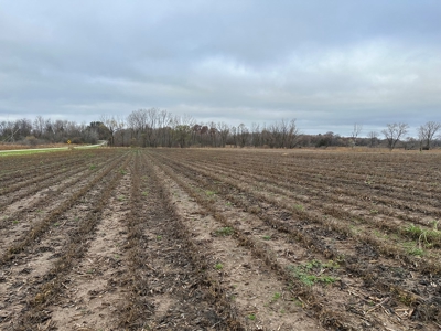 Tillable land, Hunting Land, And Buildable Ripon WI - image 13