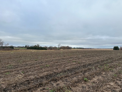 Tillable land, Hunting Land, And Buildable Ripon WI - image 14