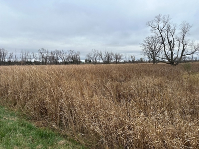 Tillable land, Hunting Land, And Buildable Ripon WI - image 33