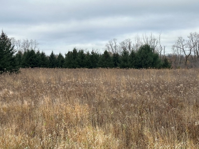 Tillable land, Hunting Land, And Buildable Ripon WI - image 35