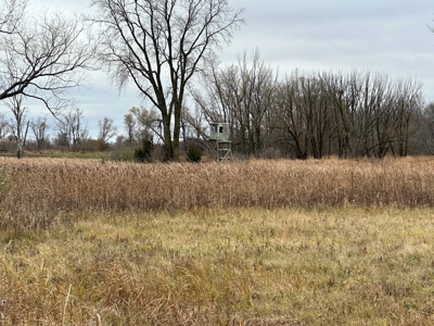 Tillable land, Hunting Land, And Buildable Ripon WI - image 34