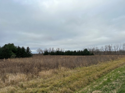 Tillable land, Hunting Land, And Buildable Ripon WI - image 4
