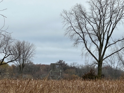 Tillable land, Hunting Land, And Buildable Ripon WI - image 19