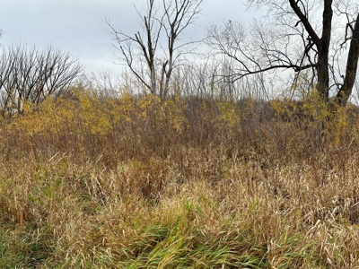 Tillable land, Hunting Land, And Buildable Ripon WI - image 21