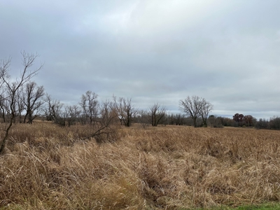 Tillable land, Hunting Land, And Buildable Ripon WI - image 6