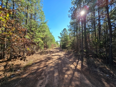 Poteau Mountain Recreational Land Adjoining National Forest - image 4