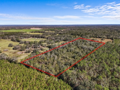 15 Acres Of Privacy In Beautiful Suwannee County, Florida - image 4