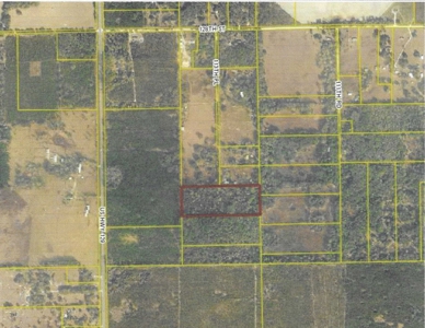 15 Acres Of Privacy In Beautiful Suwannee County, Florida - image 6